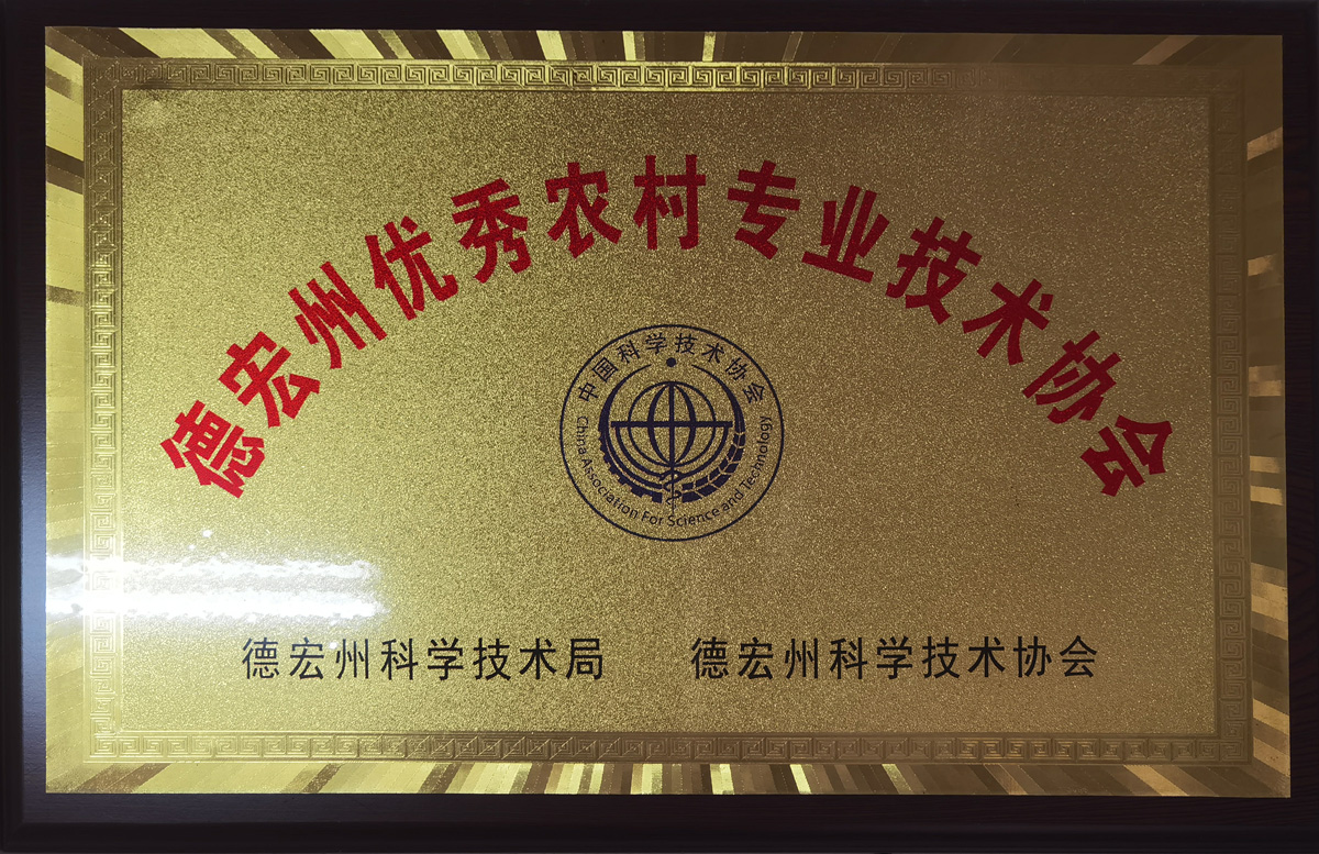 德宏州優秀農(nóng)村(cūn)專業(yè)技(jì)術(shù)協會(huì)